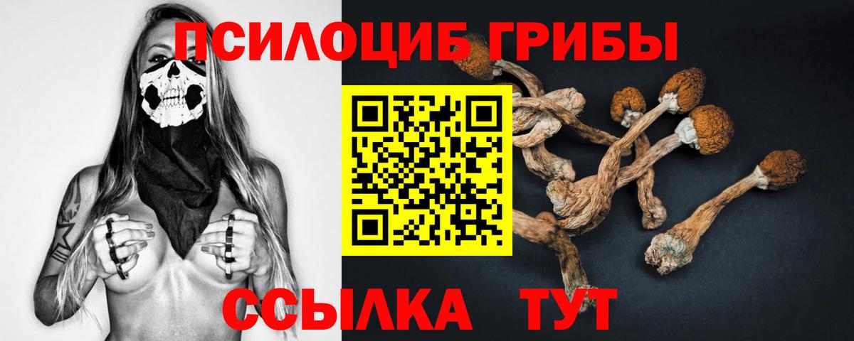 Касимов  Псилоцибиновые грибы прущие грибы  Вход с VPN 